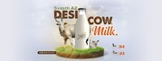 A2 Cow Milk in Bangalore | Organic Food Products Online